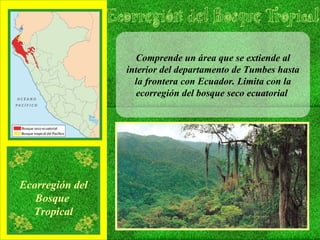 Comprende un área que se extiende al interior del departamento de Tumbes hasta la frontera con Ecuador. Limita con la ecorregión del bosque seco ecuatorial  Ecorregión del Bosque  Tropical 