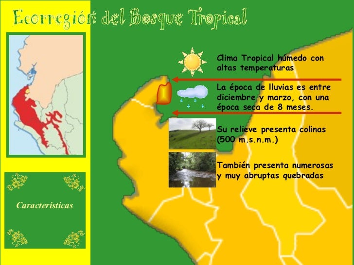 Bosque Tropical Del PacíFico