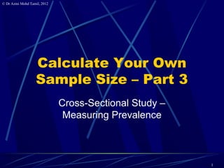 3 Calculate Samplesize For Prevalence Studies