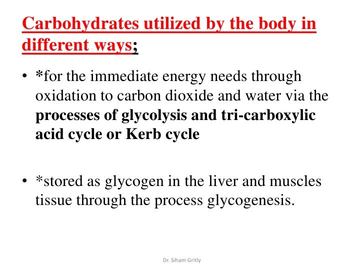 3 Carbohydrates And Exercise