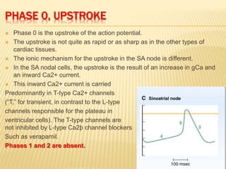 Upstroke Rasp 3 - CARDIAC AP.ppt