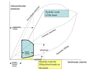 Diastolic work the
filling blood (made on
the heart)
Systolic work
of the heart
Intraventricular
pressure
Ventricular volume
afterload
Stroke
volume
Systolic
residual
volume
Enddiastolic
volume
preload
 