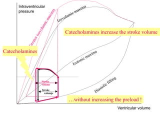 Intraventricular
pressure
Ventricular volume
Stroke
volumje
Stroke
volume
Catecholamines
Catecholamines increase the stroke volume
…without increasing the preload !
 