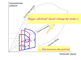 Intraventricular
pressure
Ventricular volume
Stroke
volume
Stroke
volume
Zvýšení „afterloadu“
Bigger „afterload“ doesn’t change the stroke v.
Stroke
volume
... But increases the preload
 