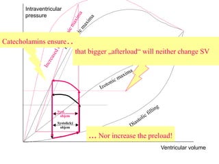 Intraventricular
pressure
Ventricular volume
Systolický
objem
Syst.
objem
Zvýšení „afterloadu“
katecholaminy
Catecholamins ensure…
... Nor increase the preload!
that bigger „afterload“ will neither change SV
 