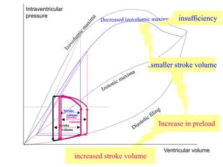 increased stroke volume
Intraventricular
pressure
Ventricular volume
Stroke
volume
Stroke
volume
insufficiency
..smaller stroke volume
Stroke
volume
Increase in preload
 