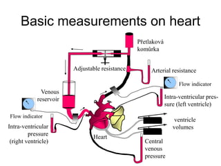 Basic measurements on heart
Intra-ventricular
pressure
(right ventricle)
Intra-ventricular pres-
sure (left ventricle)
Venous
reservoir
Adjustable resistance
Přetlaková
komůrka
Flow indicator
Arterial resistance
ventricle
volumes
Central
venous
pressure
Heart
Flow indicator
 