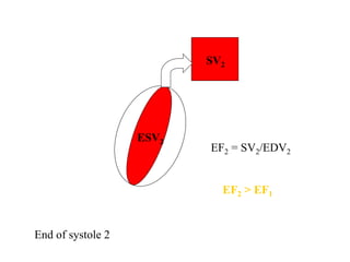 ESV2
SV2
EF2 = SV2/EDV2
EF2 > EF1
End of systole 2
 