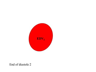 EDV2
End of diastole 2
 