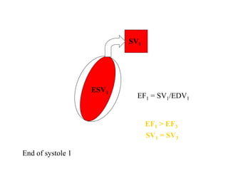 ESV1
SV1
EF1 = SV1/EDV1
EF1 > EF3
End of systole 1
SV1 = SV3
 