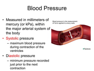Blood Pressure
• Measured in millimeters of
mercury (or kPa), within
the major arterial system of
the body
• Systolic pressure
– maximum blood pressure
during contraction of the
ventricles
• Diastolic pressure
– minimum pressure recorded
just prior to the next
contraction
 