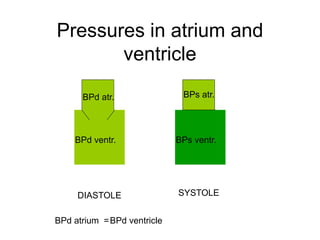 DIASTOLE SYSTOLE
BPd atr.
BPd ventr.
BPs atr.
BPs ventr.
BPd atrium =BPd ventricle
Pressures in atrium and
ventricle
 