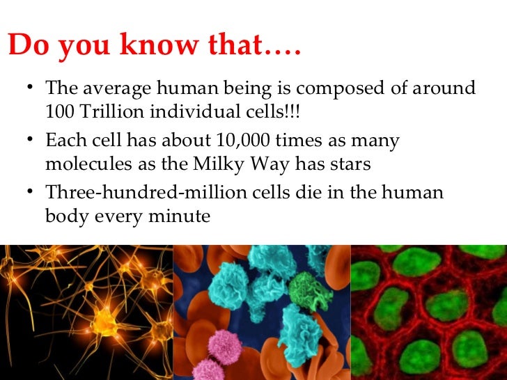 3. cellular basis of life