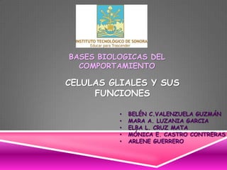 BASES BIOLOGICAS DEL
  COMPORTAMIENTO

CELULAS GLIALES Y SUS
     FUNCIONES

          •   BELÉN C.VALENZUELA GUZMÁN
          •   MARA A. LUZANIA GARCIA
          •   ELBA L. CRUZ MATA
          •   MÓNICA E. CASTRO CONTRERAS
          •   ARLENE GUERRERO
 