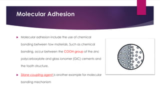 Molecular Adhesion
 Molecular adhesion include the use of chemical
bonding between tow materials. Such as chemical
bonding, occur between the COOH group of the zinc
polycarboxylate and glass ionomer (GIC) cements and
the tooth structure.
 Silane coupling agent is another example for molecular
bonding mechanism
 