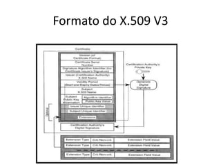 Formato do X.509 V3
 