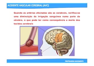 3- CICLO CARDIACO