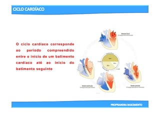 3- CICLO CARDIACO