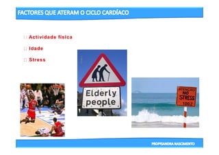3- CICLO CARDIACO