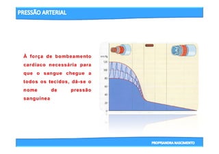 3- CICLO CARDIACO