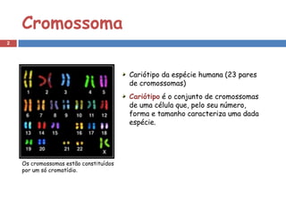 Cromossoma
2




                                        Cariótipo da espécie humana (23 pares
                                        de cromossomas)
                                        Cariótipo é o conjunto de cromossomas
                                        de uma célula que, pelo seu número,
                                        forma e tamanho caracteriza uma dada
                                        espécie.




    Os cromossomas estão constituídos
    por um só cromatídio.
 