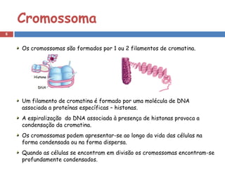 Cromossoma
6


    Os cromossomas são formados por 1 ou 2 filamentos de cromatina.




    Um filamento de cromatina é formado por uma molécula de DNA
    associada a proteínas específicas – histonas.
    A espiralização do DNA associada à presença de histonas provoca a
    condensação da cromatina.
    Os cromossomas podem apresentar-se ao longo da vida das células na
    forma condensada ou na forma dispersa.
    Quando as células se encontram em divisão os cromossomas encontram-se
    profundamente condensados.
 