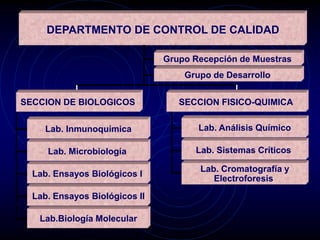 Lab. Cromatografía y
Electroforesis
Lab..Sistemas Críticos
Lab. Análisis Químico
DEPARTMENTO DE CONTROL DE CALIDAD
Lab.Biología Molecular
Lab. Ensayos Biológicos II
Lab. Ensayos Biológicos I
Lab. Microbiología
Lab. Inmunoquímica
Grupo Recepción de Muestras
Grupo de Desarrollo
SECCION FISICO-QUIMICA
SECCION DE BIOLOGICOS
 