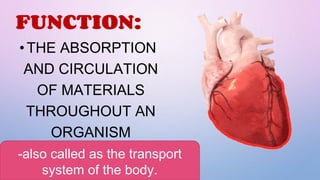 3-CIRCULATORY SYSTEM-heart, and blood.pptx