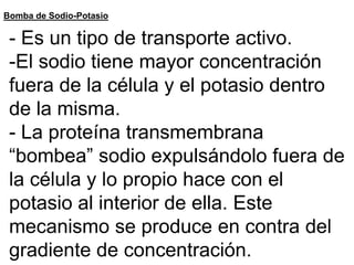 Transporte ActivoLas moléculas se movilizan en contra de la corriente de concentración.