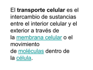 Transportadores, Canales y bombas