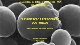 CLASSIFICAÇÃO E REPRODUÇÃO
DOS FUNGOS
Prof.: Ronildo Baiatone Alencar
Manaus – Amazonas
Abril - 2015
Universidade do Estado do Amazonas – UEA
Ciências Biológicas
 