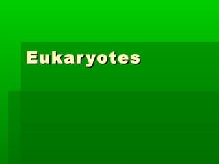 Eukar yotes
 