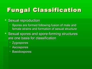 Fungal Classification
 Sexual reproduction
   Spores are formed following fusion of male and
    female strains and formation of sexual structure
 Sexual spores and spore-forming structures
  are one basis for classification
     Zygospores
     Ascospores
     Basidiospores
 