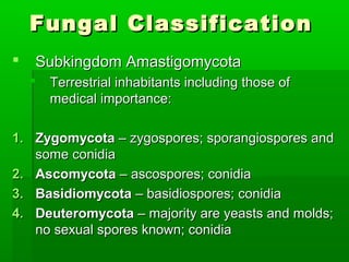 Fungal Classification
   Subkingdom Amastigomycota
       Terrestrial inhabitants including those of
        medical importance:

1. Zygomycota – zygospores; sporangiospores and
   some conidia
2. Ascomycota – ascospores; conidia
3. Basidiomycota – basidiospores; conidia
4. Deuteromycota – majority are yeasts and molds;
   no sexual spores known; conidia
 