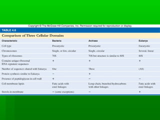 3   classification of microorganisms