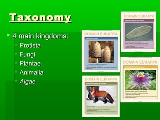 Taxonomy
 4 main kingdoms:
     Protista
     Fungi
     Plantae
     Animalia
     Algae
 