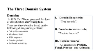Classification of Microorganisms | PPT