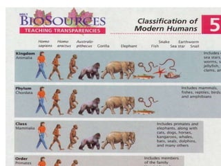 Classifying Today.09.ClassificationNotes#3 | PPT
