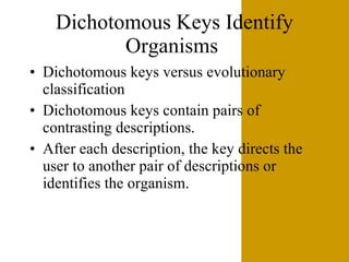 Dichotomous Keys Identify Organisms  Dichotomous keys versus evolutionary classification Dichotomous keys contain pairs of contrasting descriptions. After each description, the key directs the user to another pair of descriptions or identifies the organism. 