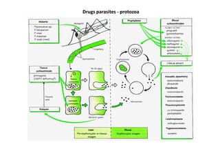 Drugs parasites - protozoa
 