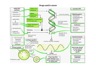 Drugs used in cancer
 
