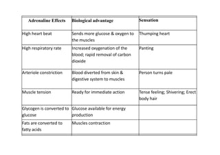 Adrenaline Effects    Biological advantage             Sensation

High heart beat          Sends more glucose & oxygen to   Thumping heart
                         the muscles
High respiratory rate    Increased oxygenation of the     Panting
                         blood; rapid removal of carbon
                         dioxide

Arteriole constriction   Blood diverted from skin &       Person turns pale
                         digestive system to muscles

Muscle tension           Ready for immediate action       Tense feeling; Shivering; Erect
                                                          body hair

Glycogen is converted to Glucose available for energy
glucose                  production
Fats are converted to    Muscles contraction
fatty acids
 