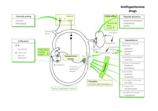 Antihypertensive
     drugs
 