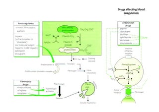Drugs affecting blood
    coagulation
 