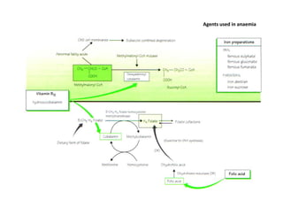 Agents used in anaemia
 