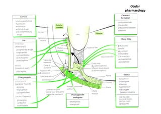 Ocular
pharmacology
 