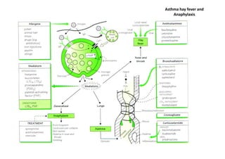 Asthma hay fever and
    Anaphylaxis
 