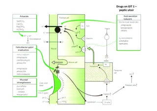 Drugs on GIT 1 –
  peptic ulcer
 