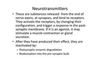 Neurotransmitters
• These are substances released from the end of
  nerve axons, at synapses, and bind to receptors.
  They activate the receptors, by changing their
  configuration, and trigger a response in the post-
  synaptic membrane. If it is an agonist, it may
  stimulate a muscle contraction or gland
  secretion.
• After they have produced their effect, they are
  inactivated by:
   – Postsynaptic enzymic degradation
   – Reabsorption into the pre-synaptic bulb
 