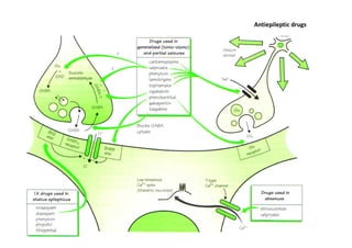 Antiepileptic drugs
 